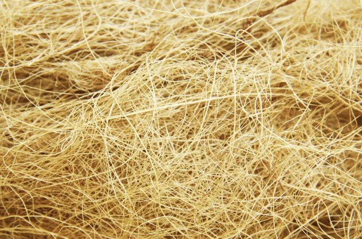 Palm Fiber biomass material supplied by TISI