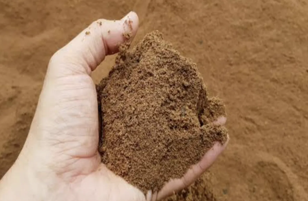 Close-up appearance of Palm Kernel Cake