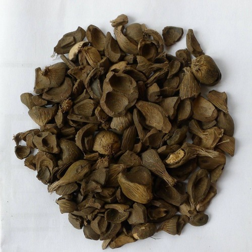 Palm Kernel Shell typical product appearance