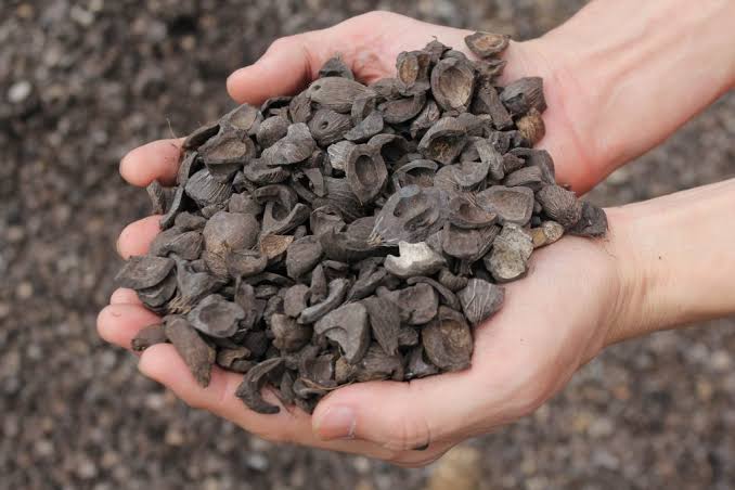 Palm Kernel Shell biomass product